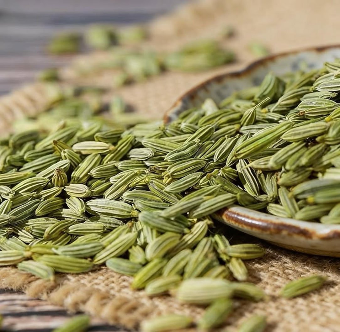 Fennel Seeds Image