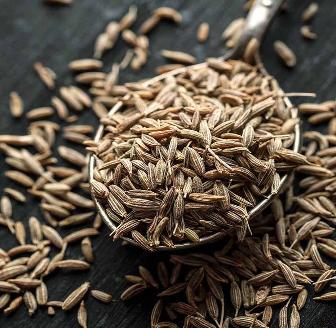 Cumin Seeds Image