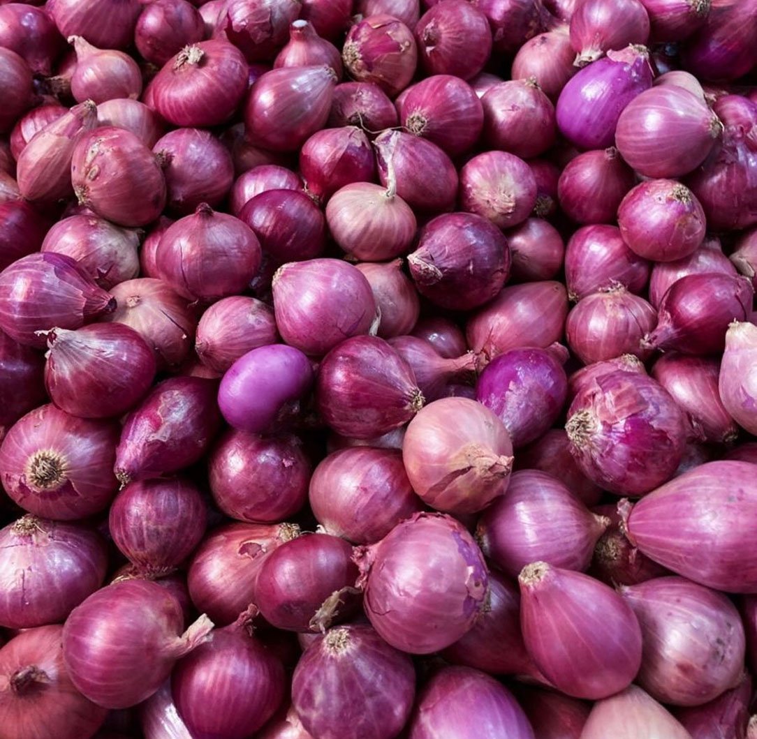 Onion