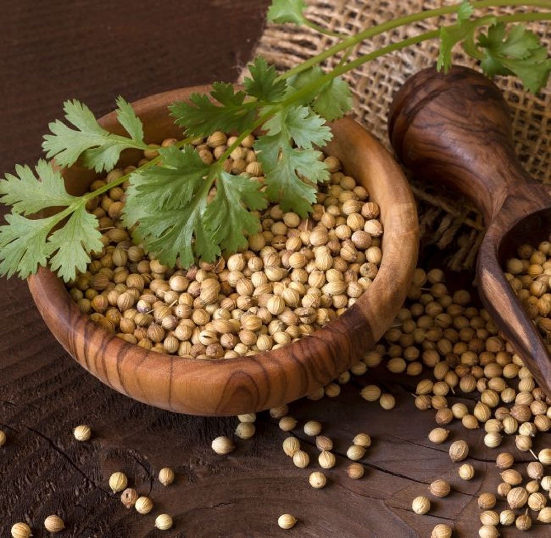 Coriander Seeds Image